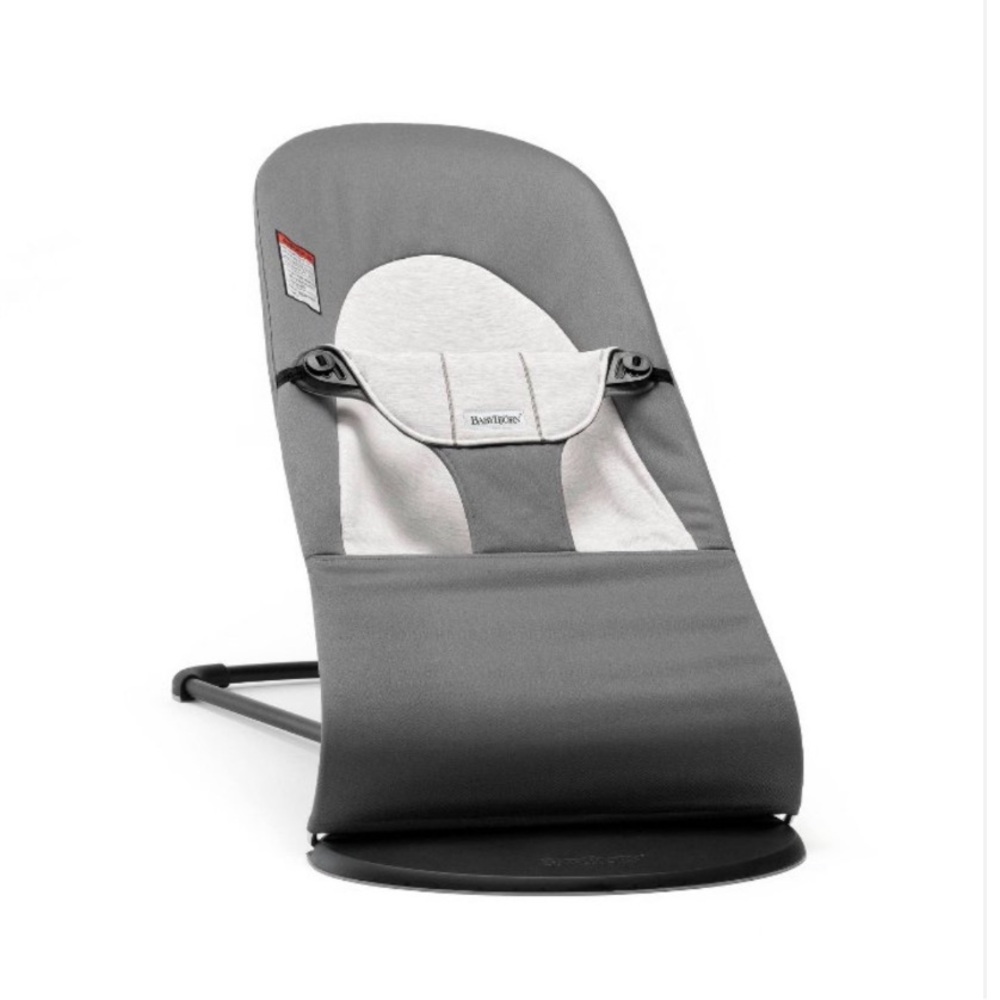 Baby Bjorn bouncer